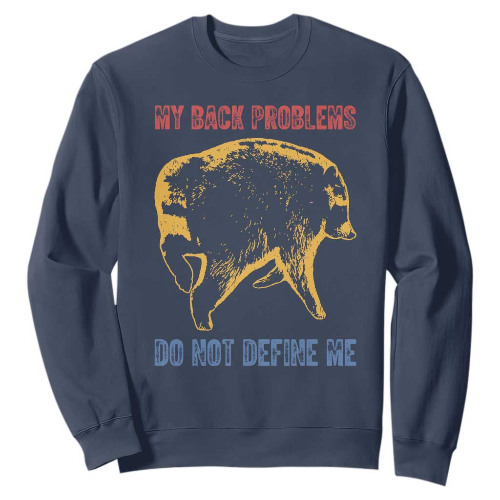 Funny Jimothy Meme Back Pain Humor Sweatshirt My Back Problems Do Not Define Me Viral Seattle Raccoon