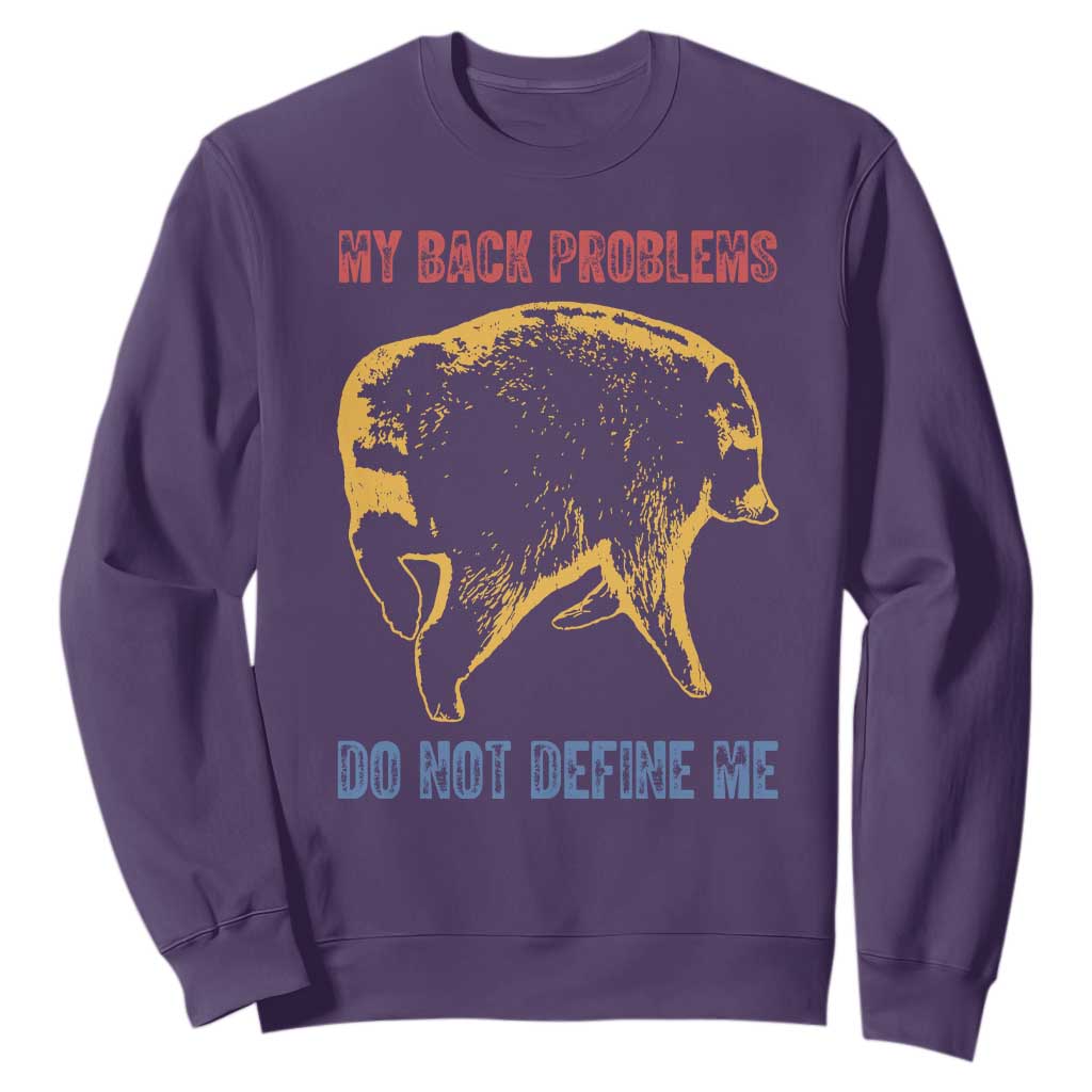 Funny Jimothy Meme Back Pain Humor Sweatshirt My Back Problems Do Not Define Me Viral Seattle Raccoon