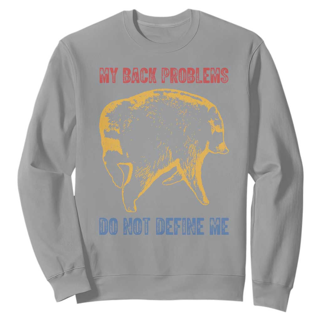 Funny Jimothy Meme Back Pain Humor Sweatshirt My Back Problems Do Not Define Me Viral Seattle Raccoon