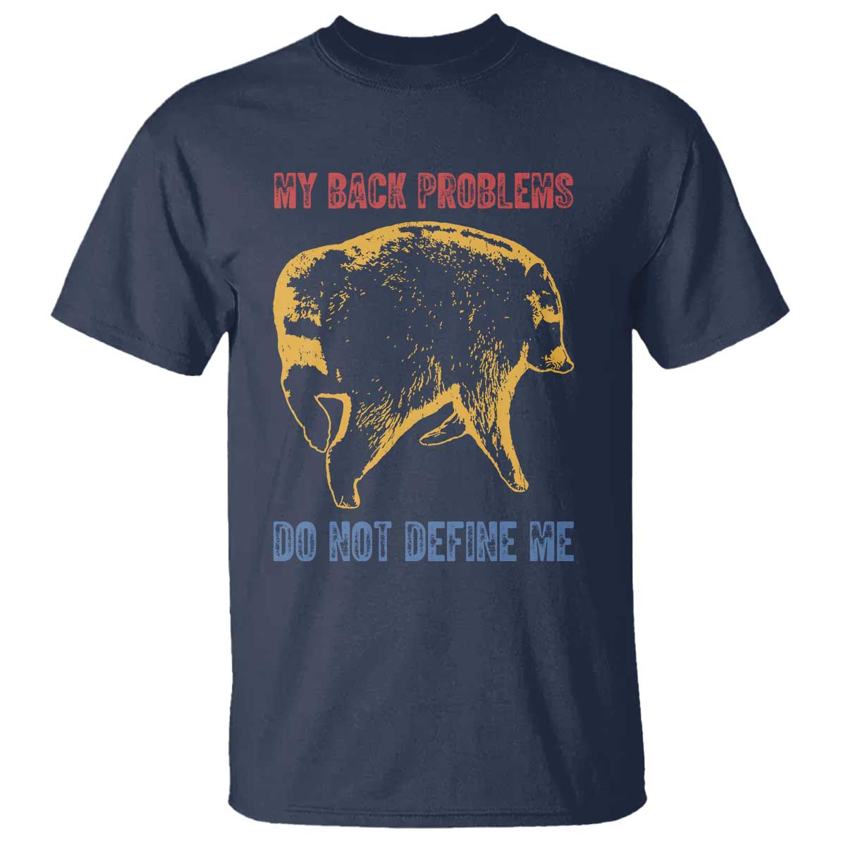Funny Jimothy Meme Back Pain Humor T Shirt My Back Problems Do Not Define Me Viral Seattle Raccoon