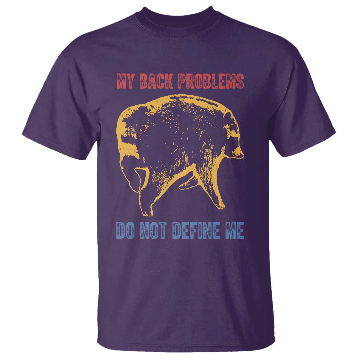 Funny Jimothy Meme Back Pain Humor T Shirt My Back Problems Do Not Define Me Viral Seattle Raccoon