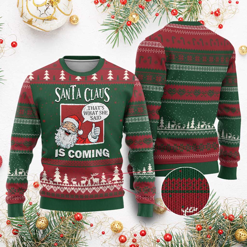 Funny Santa Xmas Ugly Christmas Sweater That's What She Said Naughty Holiday Humor TS02 Red Green Print Your Wear