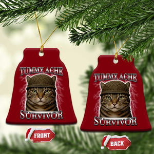 Funny Cat Meme Humor Ceramic Ornament Tummy Ache Survivor Lightning Cats Parody TS02 Print Your Wear