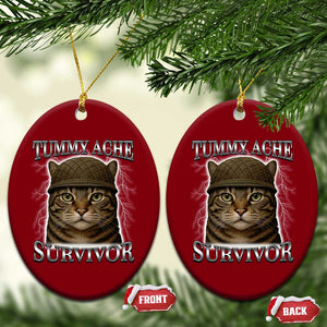 Funny Cat Meme Humor Ceramic Ornament Tummy Ache Survivor Lightning Cats Parody TS02 Print Your Wear