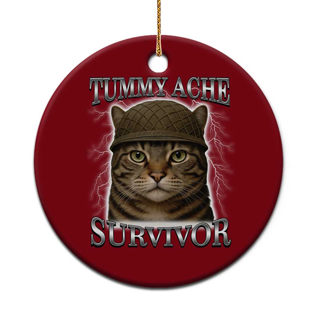 Funny Cat Meme Humor Ceramic Ornament Tummy Ache Survivor Lightning Cats Parody TS02 1pc Red Print Your Wear