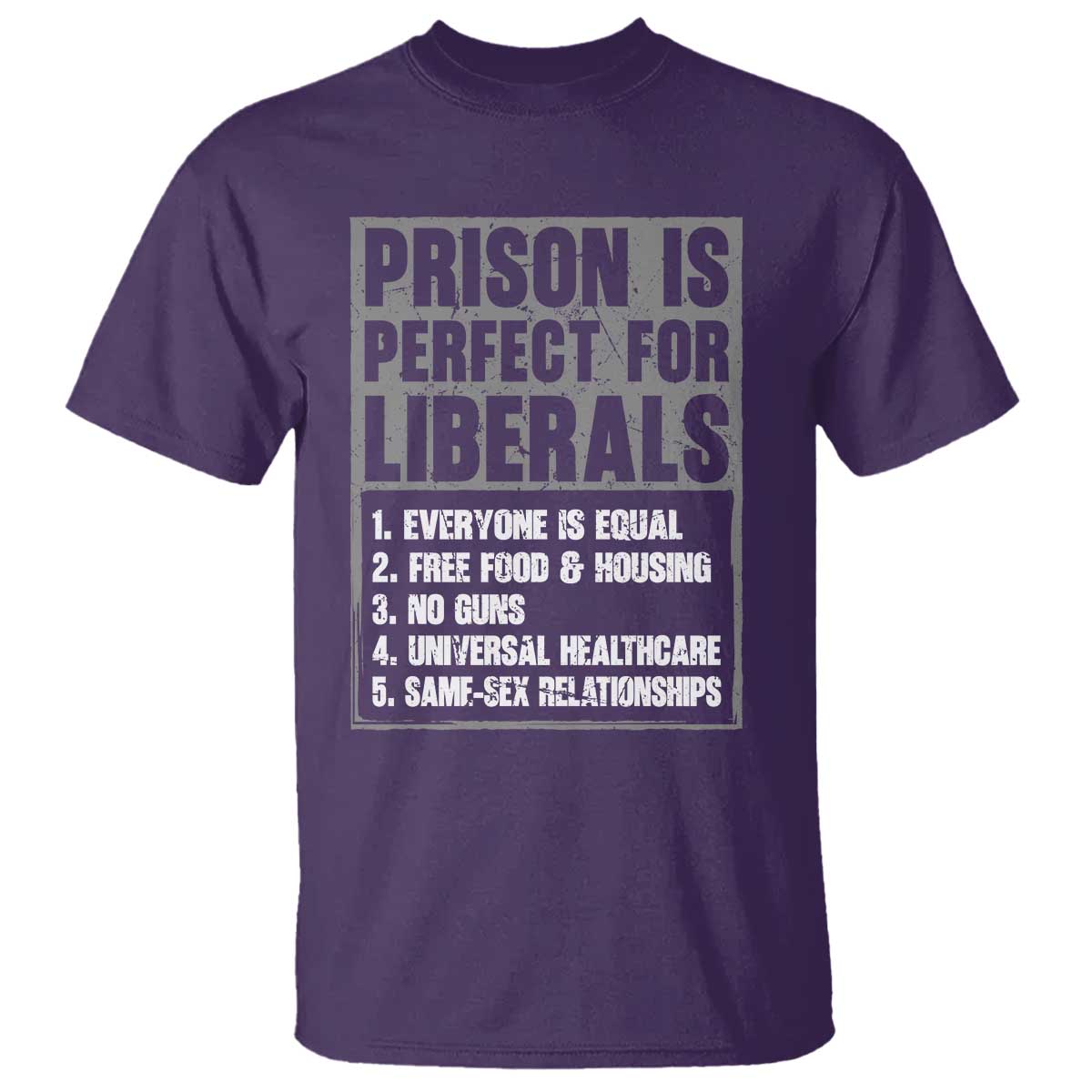 Prison Is Perfect For Liberals T Shirt Satirical List Retro Grunge Conservative Humor