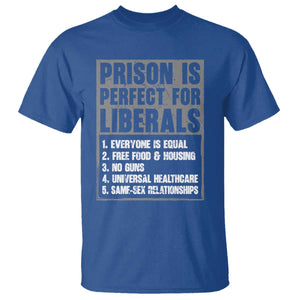 Prison Is Perfect For Liberals T Shirt Satirical List Retro Grunge Conservative Humor