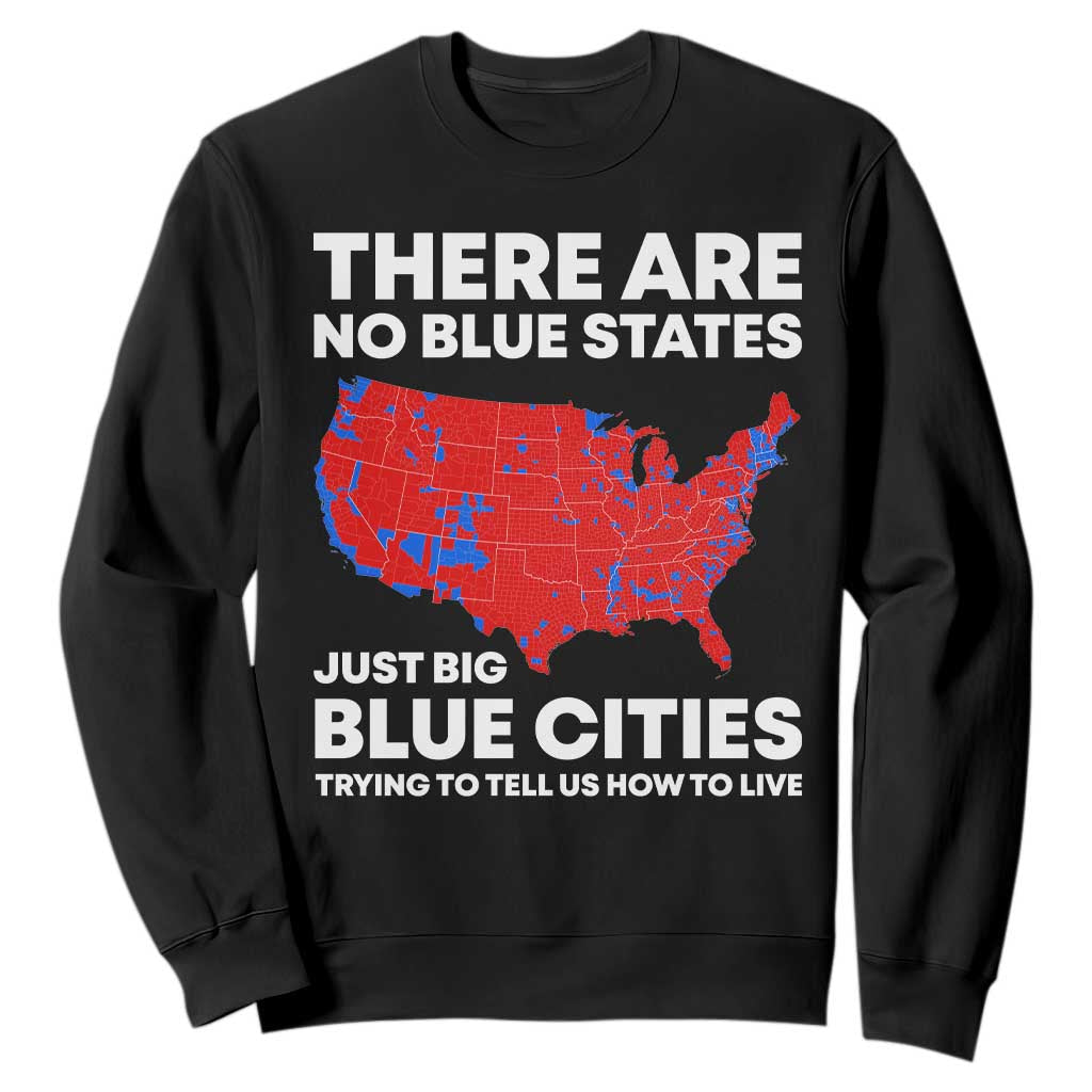 American Republican 2024 Sweatshirt There Are No Blue States Only Big Blue Cities America Map TS02 Black Print Your Wear