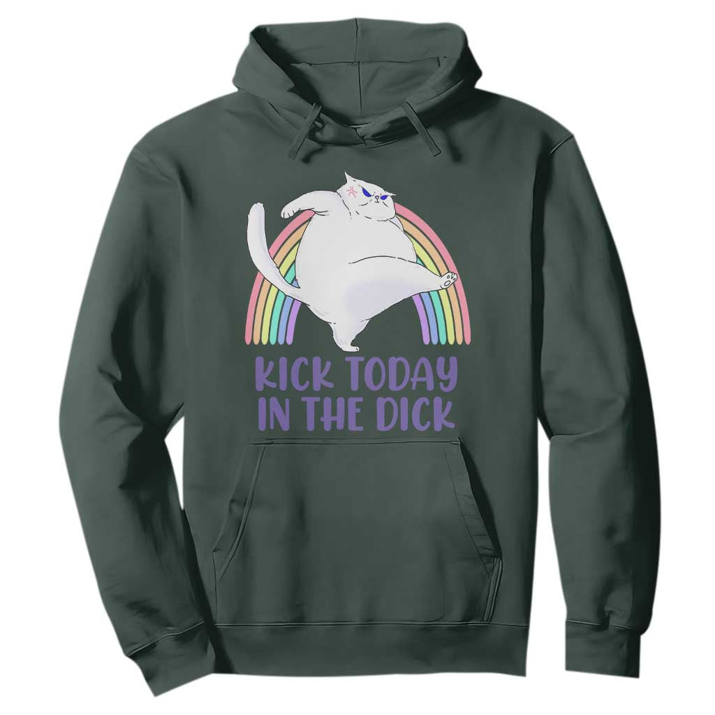 Funny Sarcastic Cat Hoodie Kick Today In The Dick Pastel Rainbow TS02 Dark Forest Green Print Your Wear