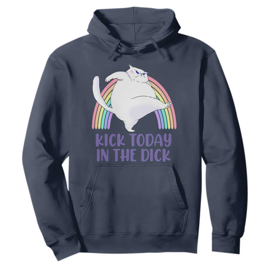 Funny Sarcastic Cat Hoodie Kick Today In The Dick Pastel Rainbow TS02 Navy Print Your Wear