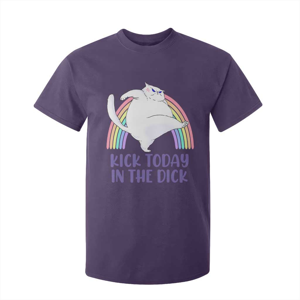 Funny Sarcastic Cat T Shirt For Kid Kick Today In The Dick Pastel Rainbow TS02 Purple Print Your Wear