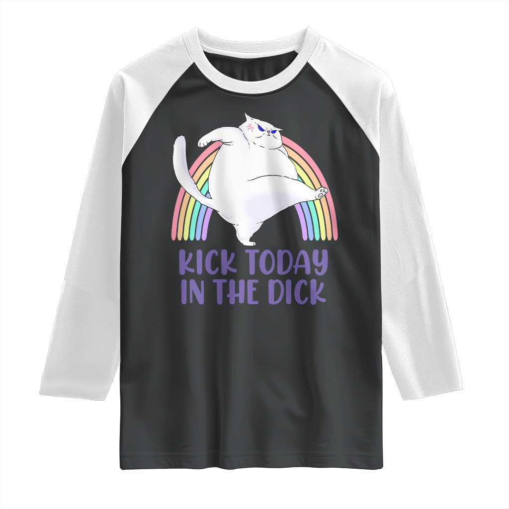 Funny Sarcastic Cat Raglan Shirt Kick Today In The Dick Pastel Rainbow TS02 Black White Print Your Wear