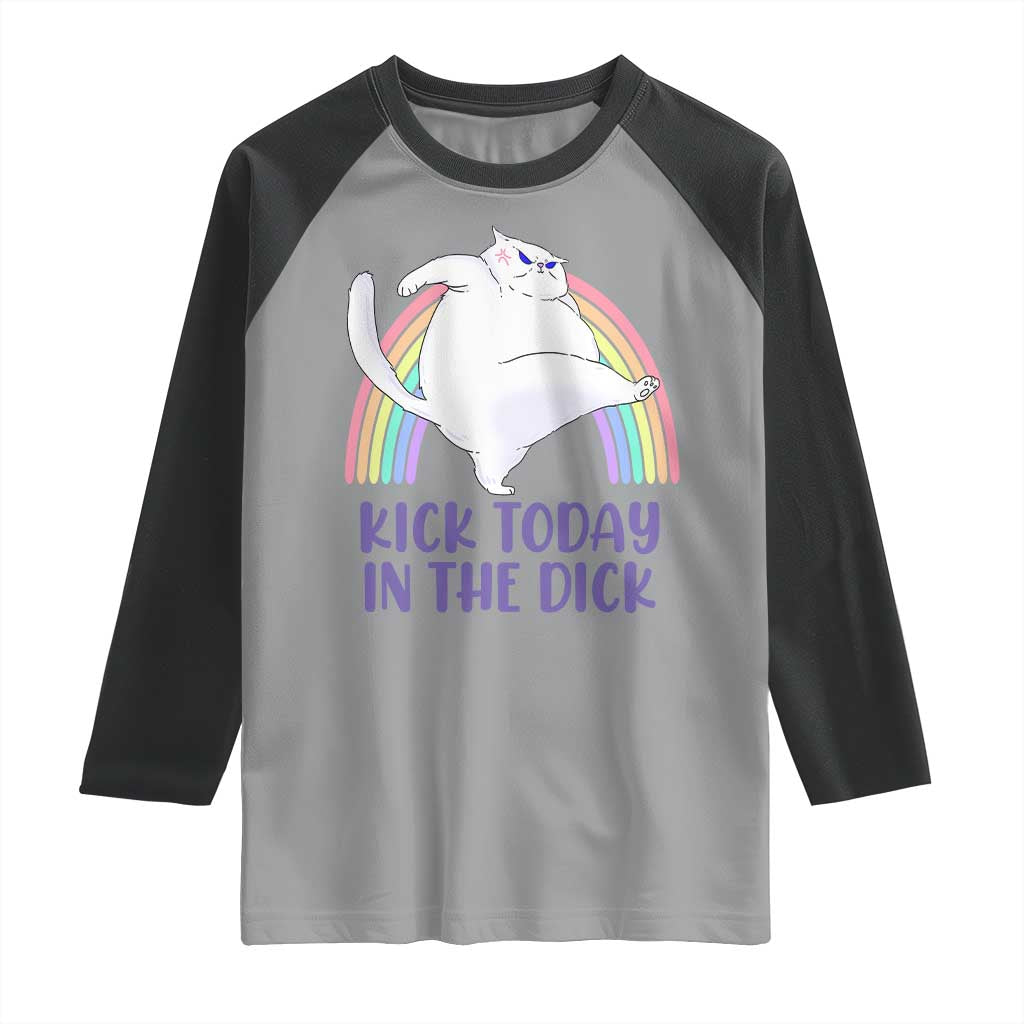 Funny Sarcastic Cat Raglan Shirt Kick Today In The Dick Pastel Rainbow TS02 Sport Gray Black Print Your Wear