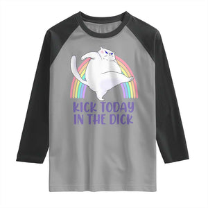 Funny Sarcastic Cat Raglan Shirt Kick Today In The Dick Pastel Rainbow TS02 Sport Gray Black Print Your Wear