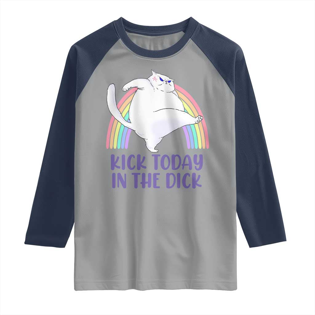 Funny Sarcastic Cat Raglan Shirt Kick Today In The Dick Pastel Rainbow TS02 Sport Gray Navy Print Your Wear