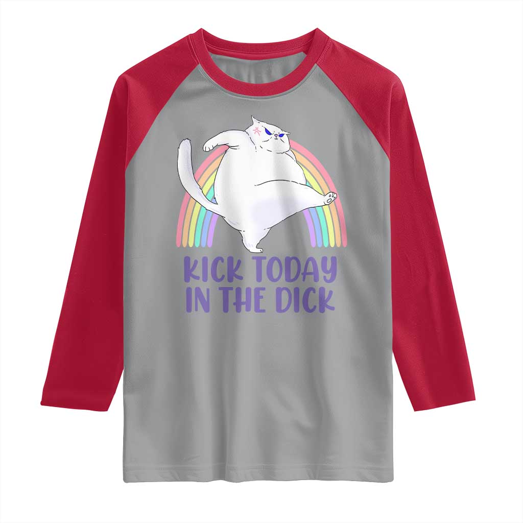 Funny Sarcastic Cat Raglan Shirt Kick Today In The Dick Pastel Rainbow TS02 Sport Gray Red Print Your Wear