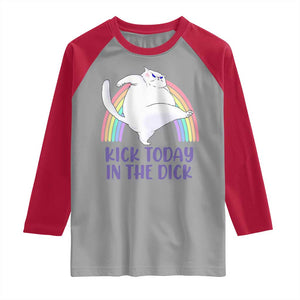 Funny Sarcastic Cat Raglan Shirt Kick Today In The Dick Pastel Rainbow TS02 Sport Gray Red Print Your Wear