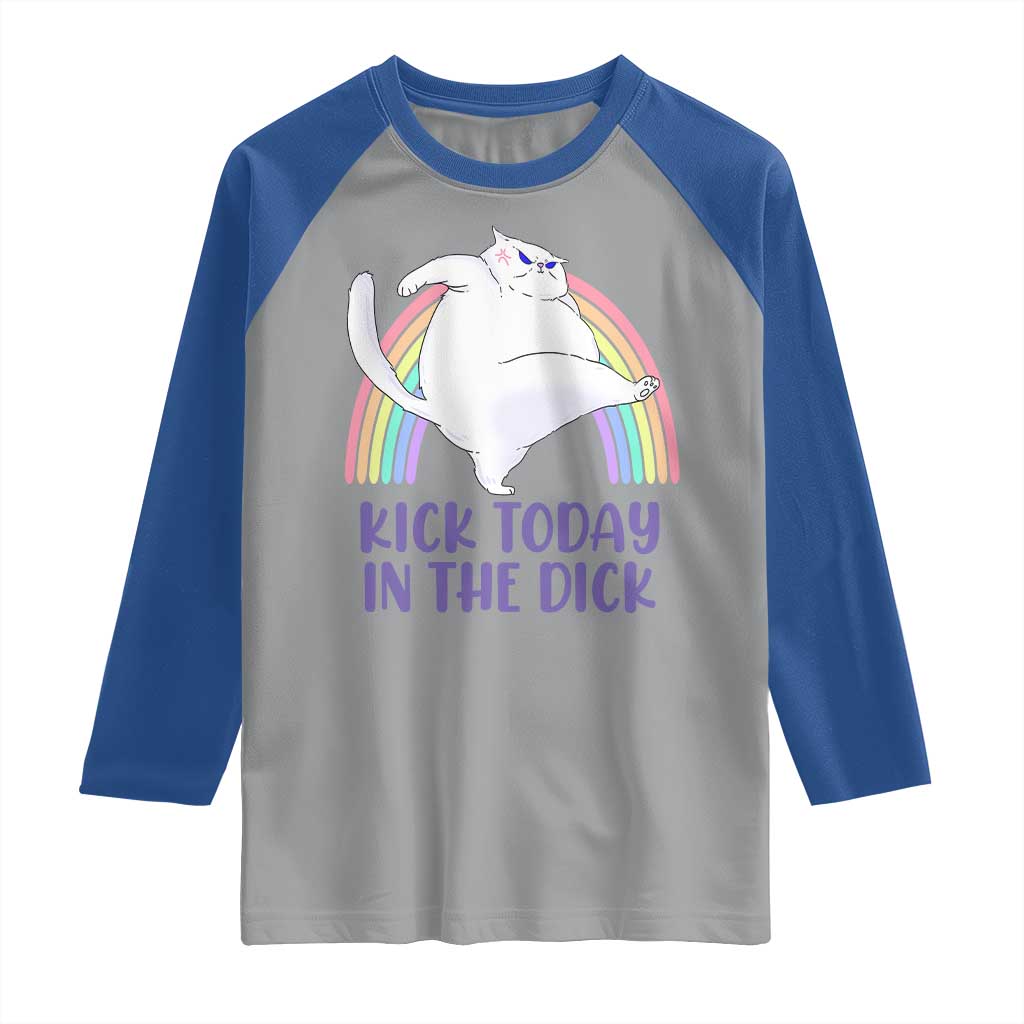 Funny Sarcastic Cat Raglan Shirt Kick Today In The Dick Pastel Rainbow TS02 Sport Gray Royal Print Your Wear