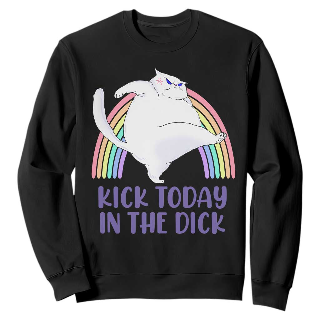 Funny Sarcastic Cat Sweatshirt Kick Today In The Dick Pastel Rainbow TS02 Black Print Your Wear