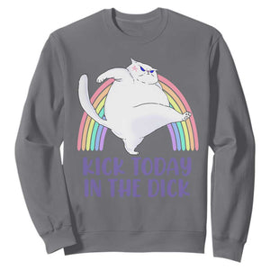 Funny Sarcastic Cat Sweatshirt Kick Today In The Dick Pastel Rainbow TS02 Charcoal Print Your Wear