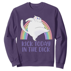 Funny Sarcastic Cat Sweatshirt Kick Today In The Dick Pastel Rainbow TS02 Purple Print Your Wear