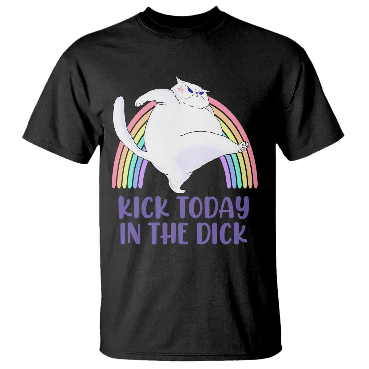 Funny Sarcastic Cat T Shirt Kick Today In The Dick Pastel Rainbow TS02 Black Print Your Wear