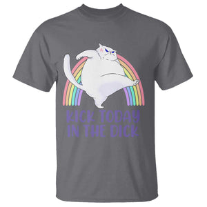 Funny Sarcastic Cat T Shirt Kick Today In The Dick Pastel Rainbow TS02 Charcoal Print Your Wear