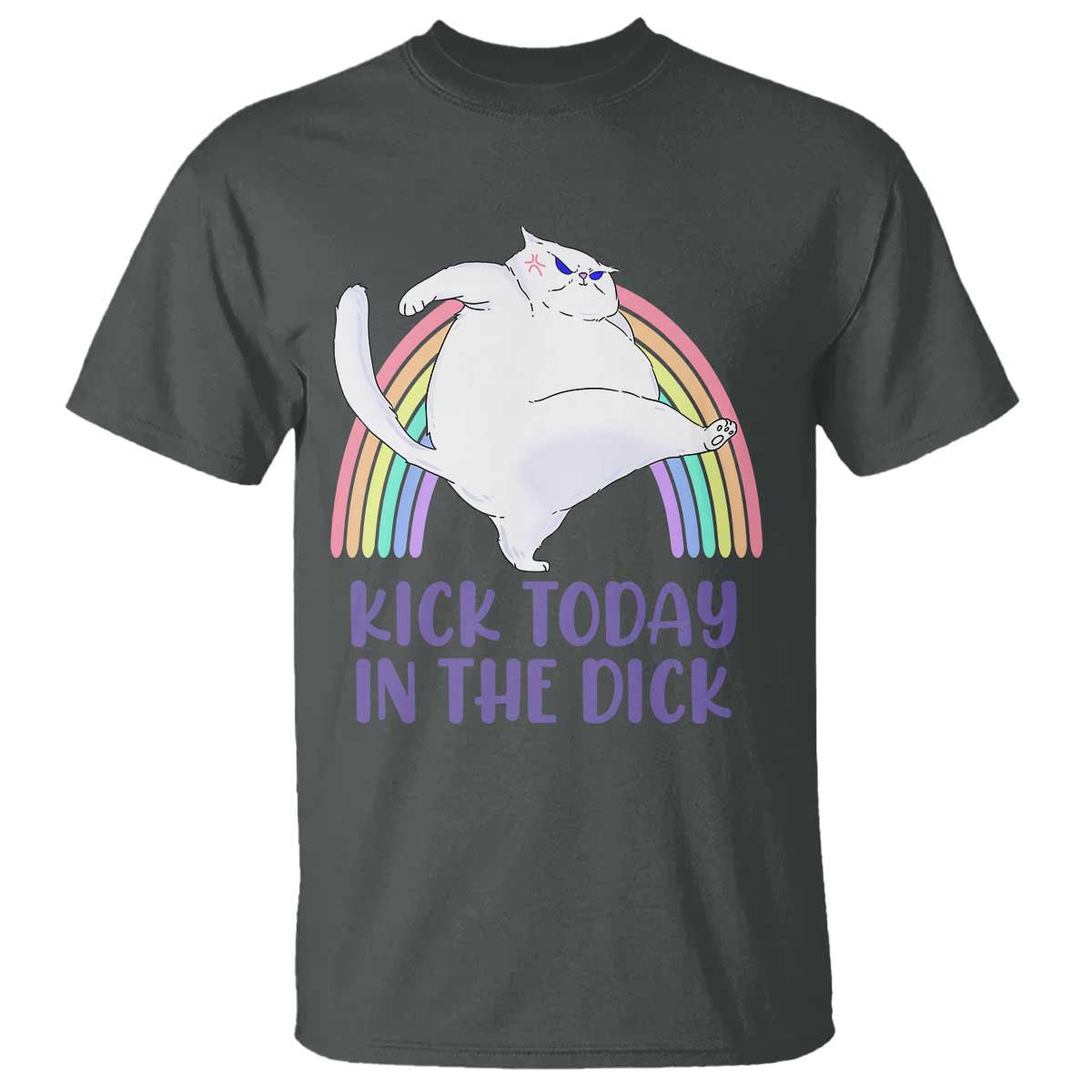 Funny Sarcastic Cat T Shirt Kick Today In The Dick Pastel Rainbow TS02 Dark Heather Print Your Wear