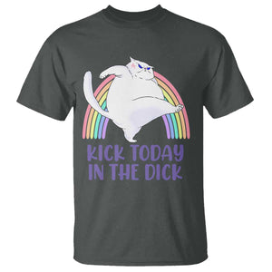 Funny Sarcastic Cat T Shirt Kick Today In The Dick Pastel Rainbow TS02 Dark Heather Print Your Wear