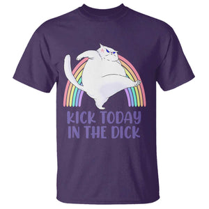 Funny Sarcastic Cat T Shirt Kick Today In The Dick Pastel Rainbow TS02 Purple Print Your Wear