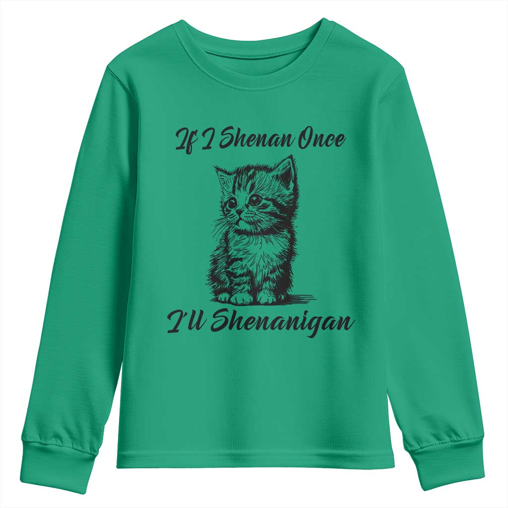 Cute Cat St Patricks Day Youth Sweatshirt If I Shenan Once I'll Shenanigan TS02 Irish Green Print Your Wear