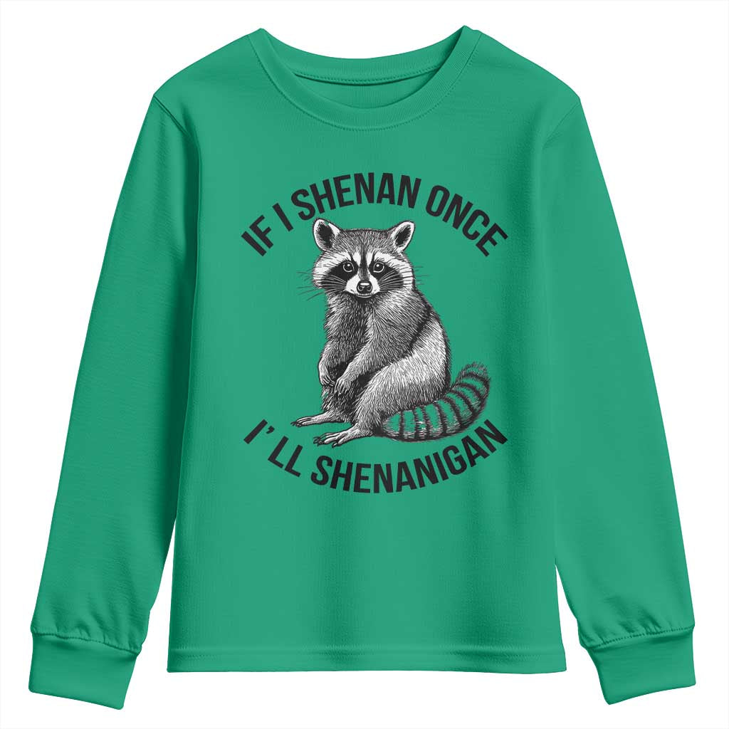 St Patricks Day Raccoon Meme Youth Sweatshirt If I Shenan Once I'll Shenanigan TS02 Irish Green Print Your Wear
