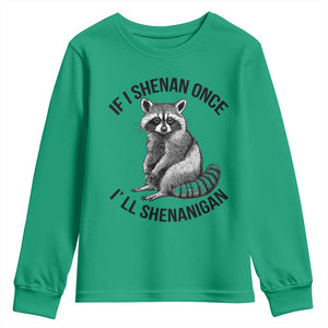 St Patricks Day Raccoon Meme Youth Sweatshirt If I Shenan Once I'll Shenanigan TS02 Irish Green Print Your Wear