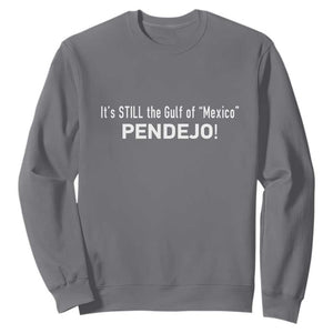 It's Still The Gulf Of Mexico Pendejo Sweatshirt Golfo De Mexico TS02 Charcoal Print Your Wear