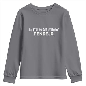 It's Still The Gulf Of Mexico Pendejo Youth Sweatshirt Golfo De Mexico TS02 Charcoal Print Your Wear