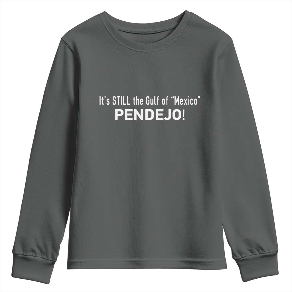 It's Still The Gulf Of Mexico Pendejo Youth Sweatshirt Golfo De Mexico TS02 Dark Heather Print Your Wear