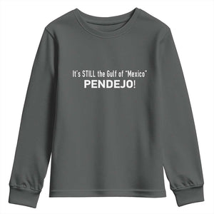 It's Still The Gulf Of Mexico Pendejo Youth Sweatshirt Golfo De Mexico TS02 Dark Heather Print Your Wear