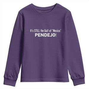It's Still The Gulf Of Mexico Pendejo Youth Sweatshirt Golfo De Mexico TS02 Purple Print Your Wear
