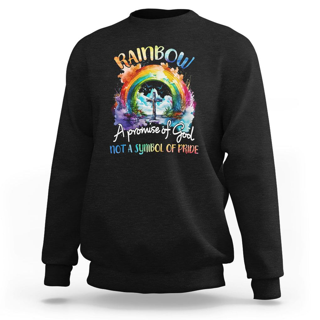 God's Promise Sweatshirt Rainbow A Promise Of God Not A Symbol Of Pride TS02 Black Printyourwear