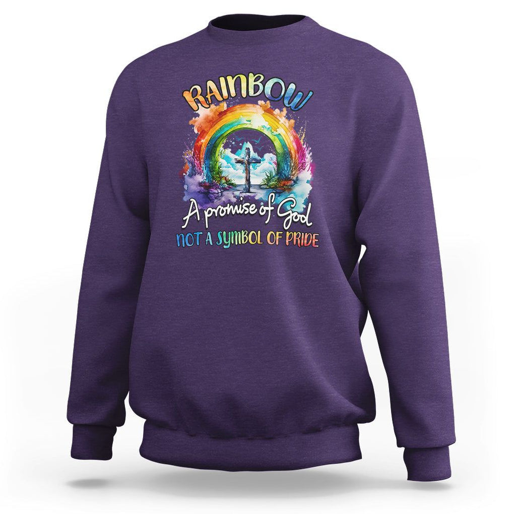 God's Promise Sweatshirt Rainbow A Promise Of God Not A Symbol Of Pride TS02 Purple Printyourwear