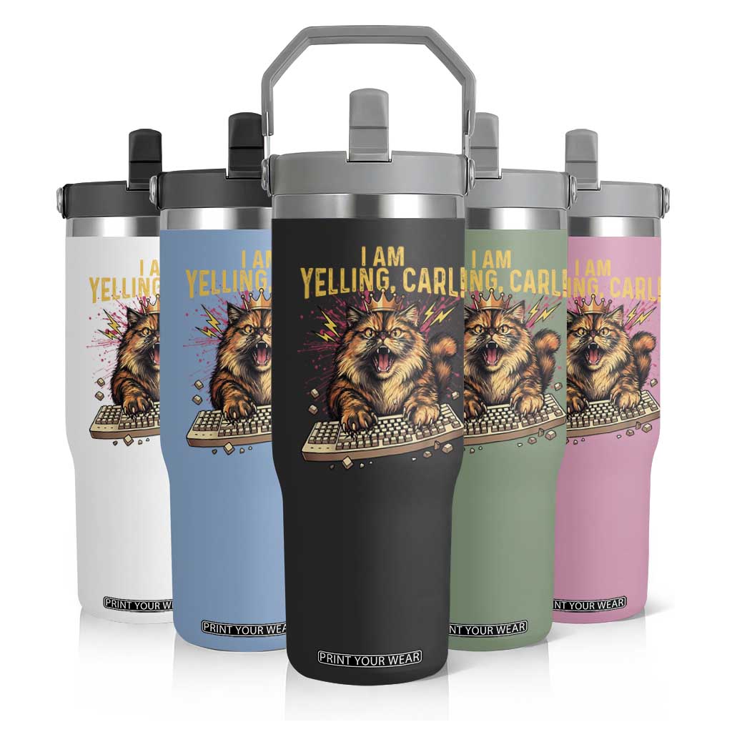 I Am Yelling Carl Graphic Flip Straw Tumbler Funny Angry Cat Typing Keyboard Comic Retro TS02 Print Your Wear