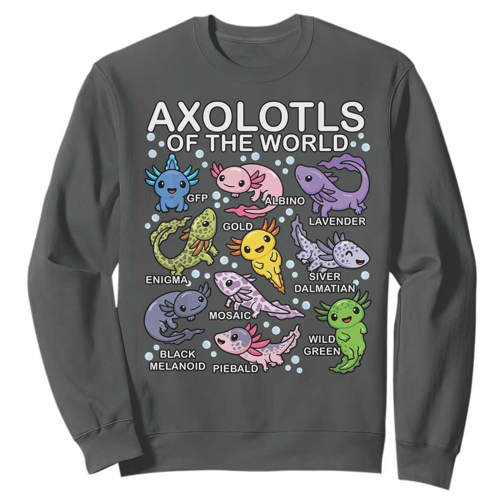 Kawaii Axolotl Sweatshirt Axolotls of the World Animals Aquarium Species TS02 Dark Heather Print Your Wear