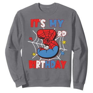 Spider Birthday Sweatshirt It's My 3rd Bday Party 3 Years Old Boy TS02 Charcoal Print Your Wear