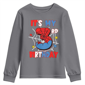 Spider Birthday Youth Sweatshirt It's My 3rd Bday Party 3 Years Old Boy TS02 Charcoal Print Your Wear