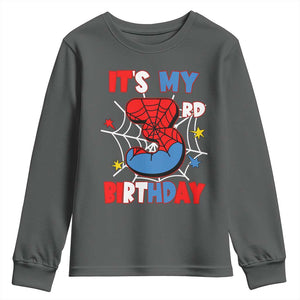 Spider Birthday Youth Sweatshirt It's My 3rd Bday Party 3 Years Old Boy TS02 Dark Heather Print Your Wear