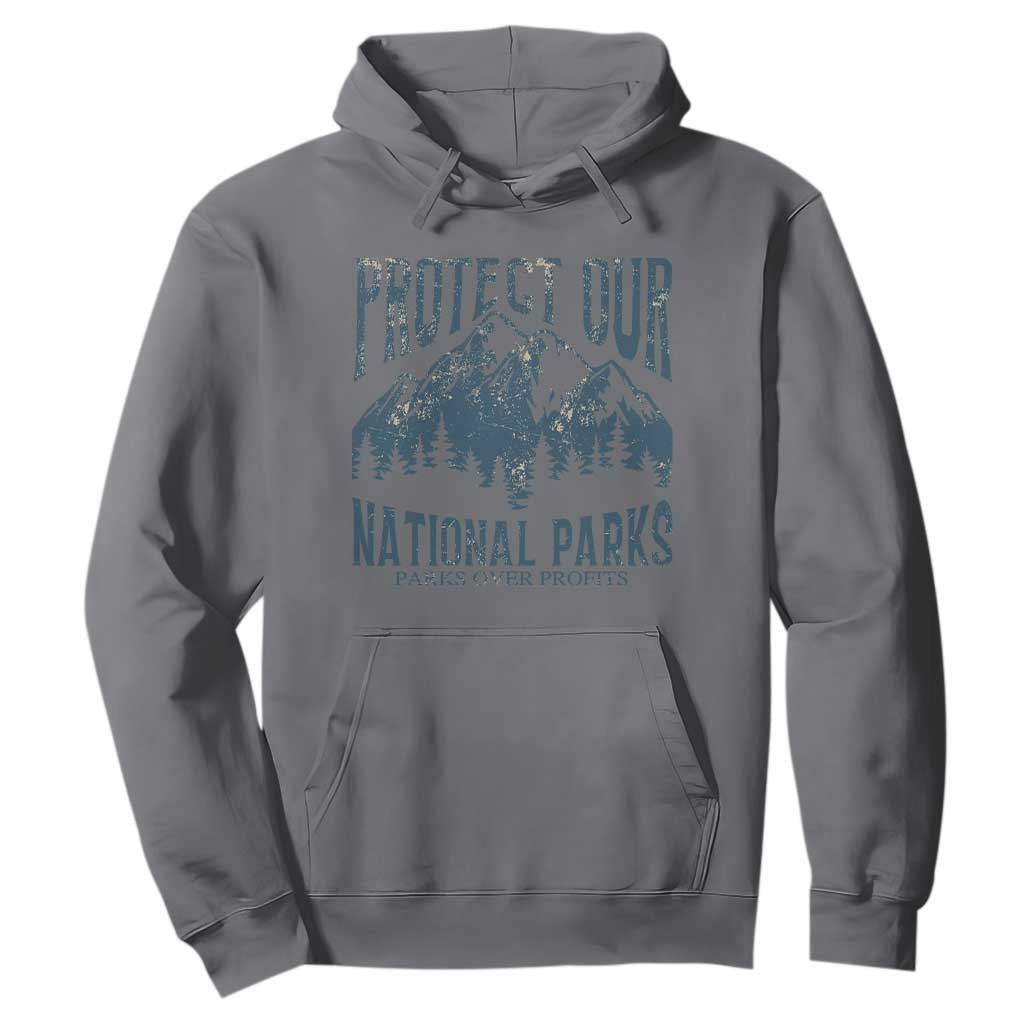 Protect Our National Parks Hoodie Retro Mountain Nature Graphic TS02 Charcoal Print Your Wear