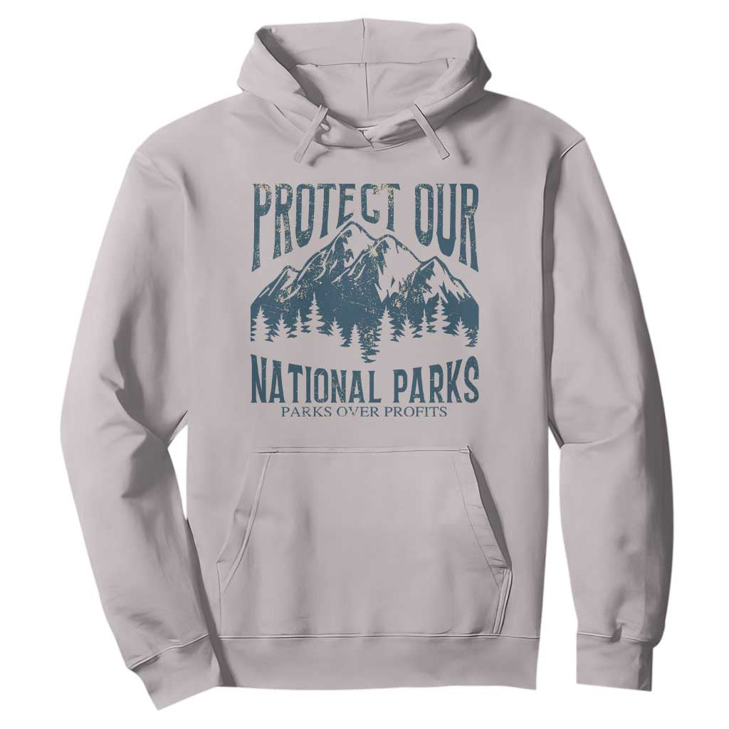 Protect Our National Parks Hoodie Retro Mountain Nature Graphic TS02 Ice Gray Print Your Wear