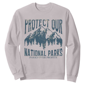 Protect Our National Parks Sweatshirt Retro Mountain Nature Graphic TS02 Ice Gray Print Your Wear