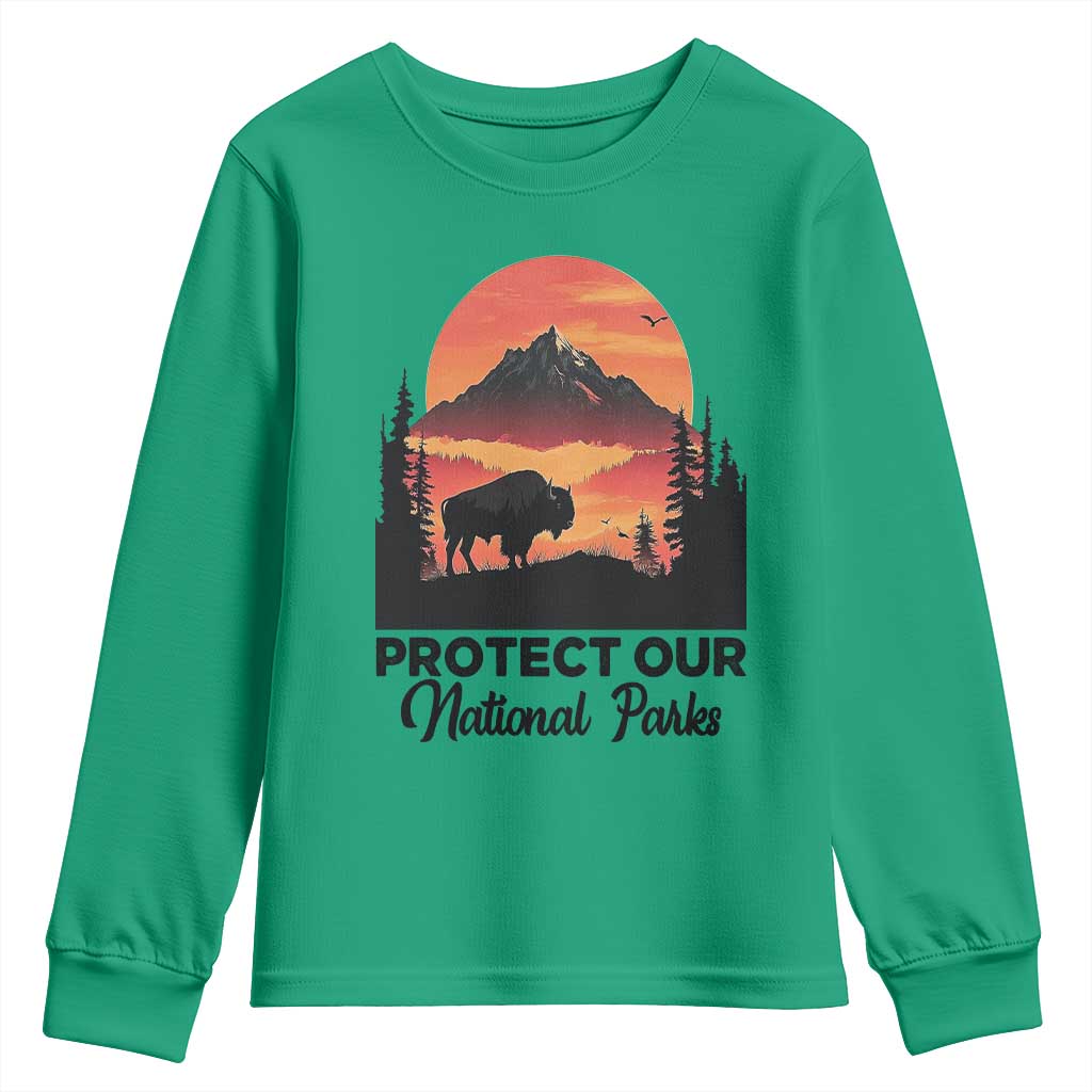 Protect Our National Parks Youth Sweatshirt Bison Buffalo Vintage Graphic TS02 Irish Green Print Your Wear