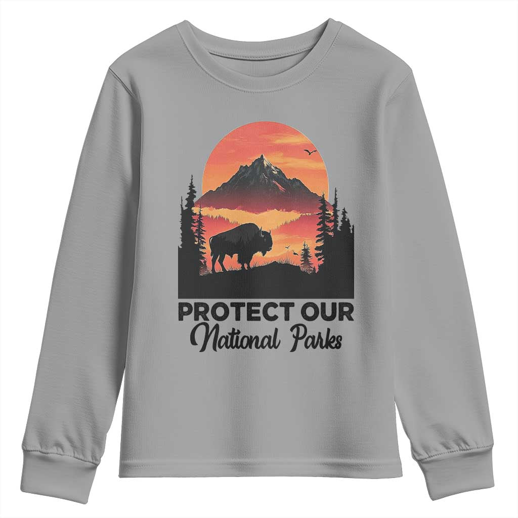 Protect Our National Parks Youth Sweatshirt Bison Buffalo Vintage Graphic TS02 Sport Gray Print Your Wear